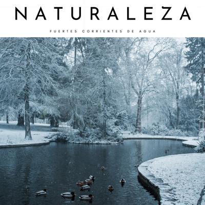 Naturaleza: Fuertes Corrientes De Agua's cover