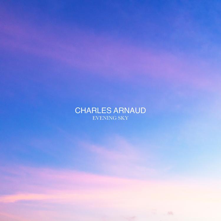 Charles Arnaud's avatar image
