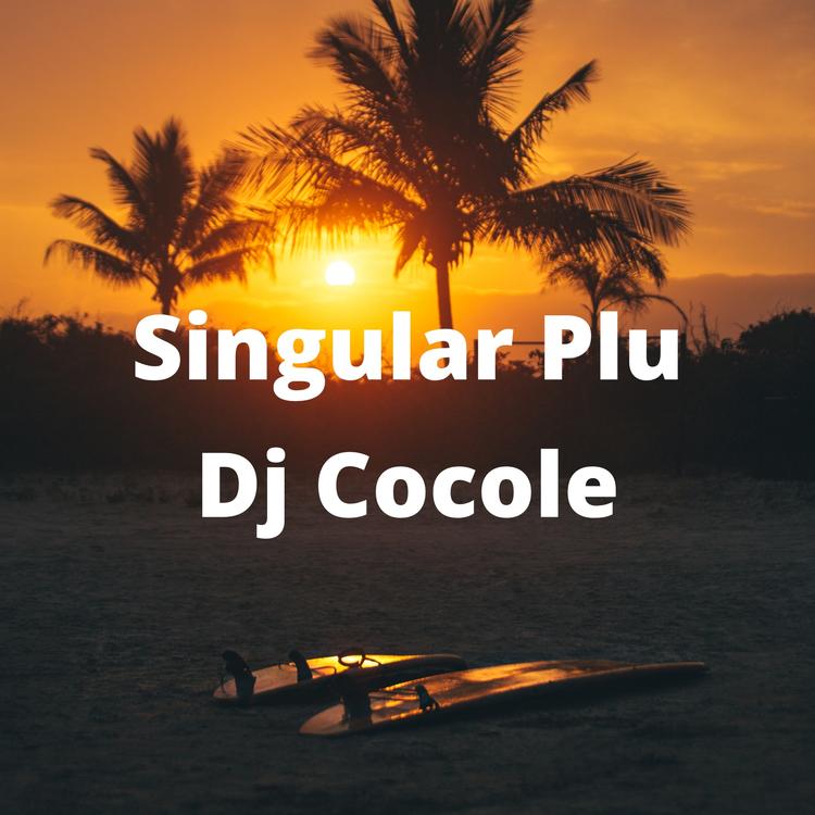 Dj Cocole's avatar image