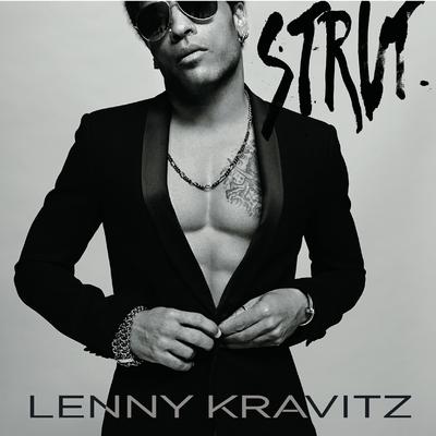 I Never Want To Let You Down By Lenny Kravitz's cover