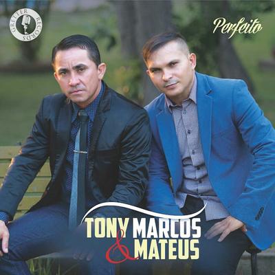 Perfeito By Tony Marcos e Mateus, Gretter Records's cover