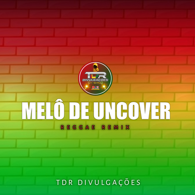 MELÔ DE UNCOVER By Zara Larsson, Alan Walker, TDR DIVULGAÇÕES's cover