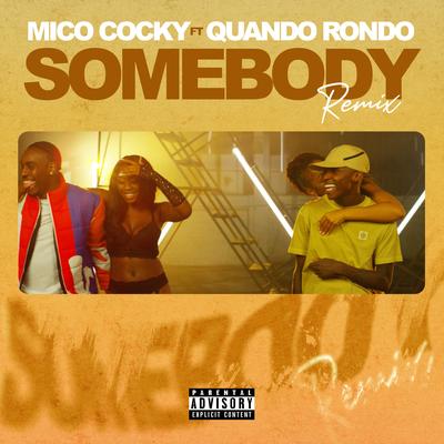 Somebody (Remix)'s cover