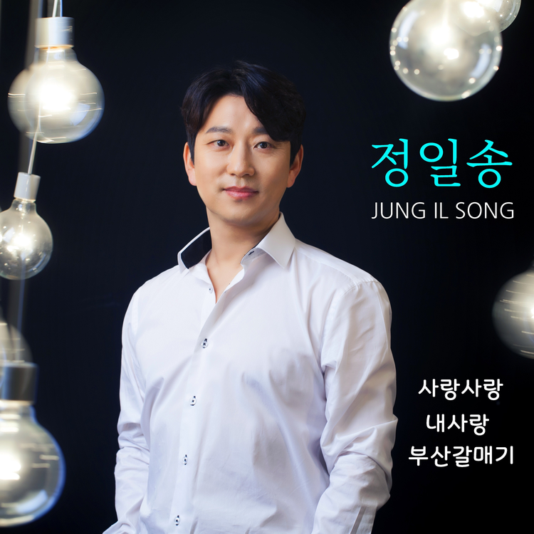 JUNG IL SONG's avatar image