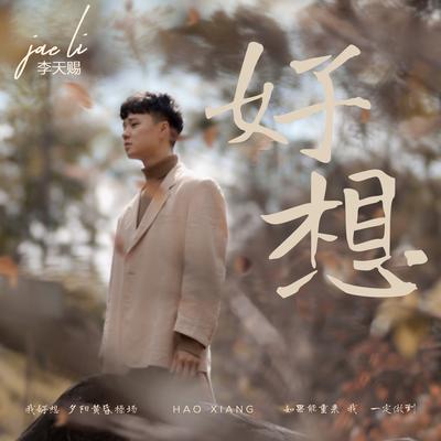 好想's cover