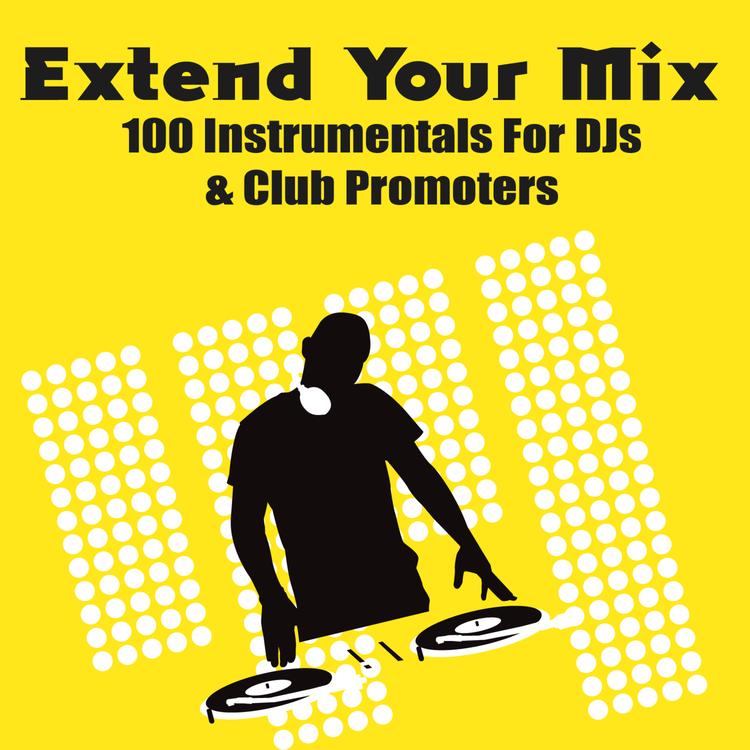 Extreme DJs & Remixers's avatar image