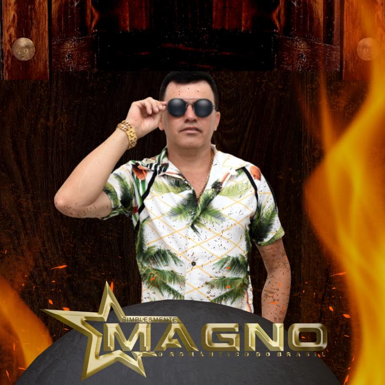 Simplesmente magno's avatar image