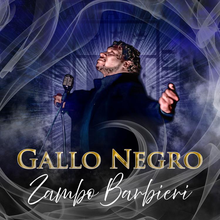 Zambo Barbieri's avatar image