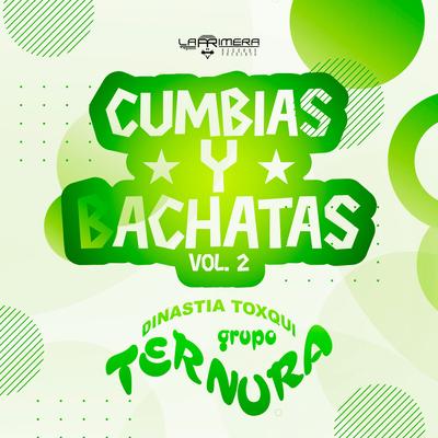 Cumbias y Bachatas Vol.2's cover