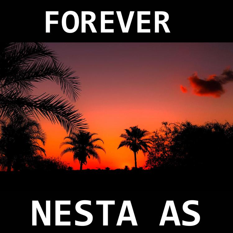 Nesta As's avatar image