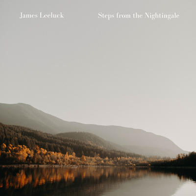 Steps from the Nightingale By James Leeluck's cover