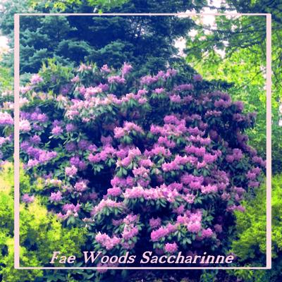 Fae Woods's cover