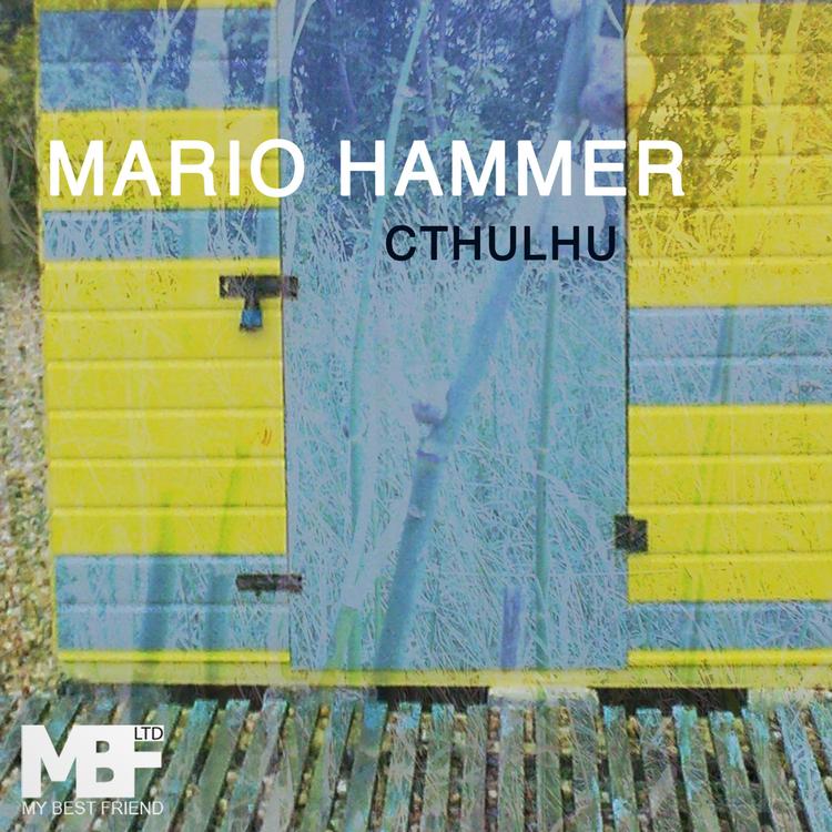 Mario Hammer's avatar image