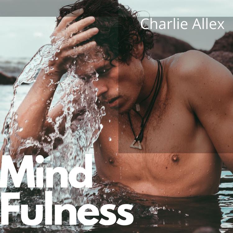 Charlie Allex's avatar image