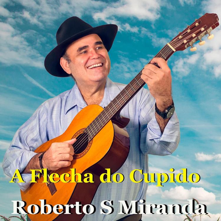 Roberto S Miranda's avatar image