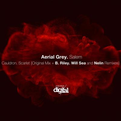 Aerial Grey's cover