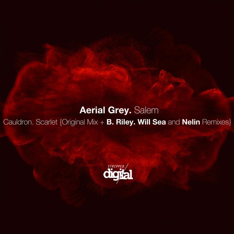 Aerial Grey's avatar image