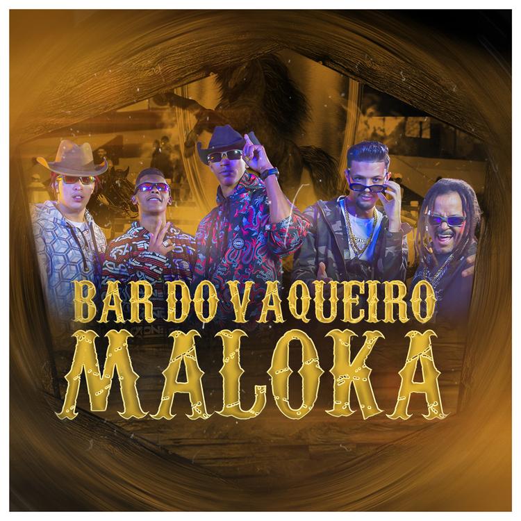 DJ Vaqueiro Maloka's avatar image