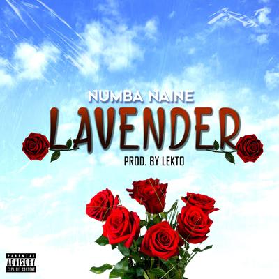 Numba Naine's cover