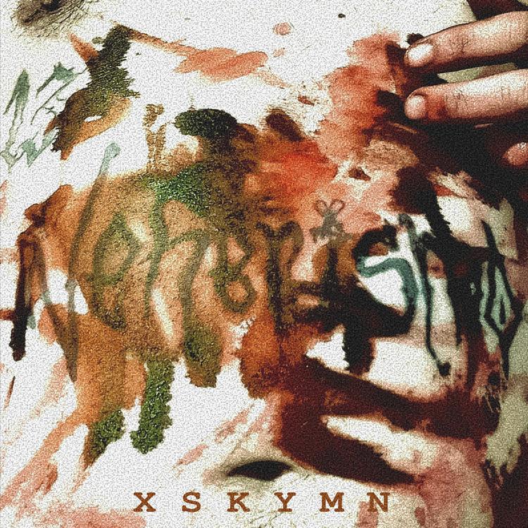 xskymn's avatar image