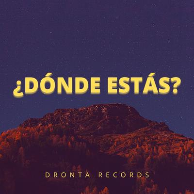 Dronta Records's cover