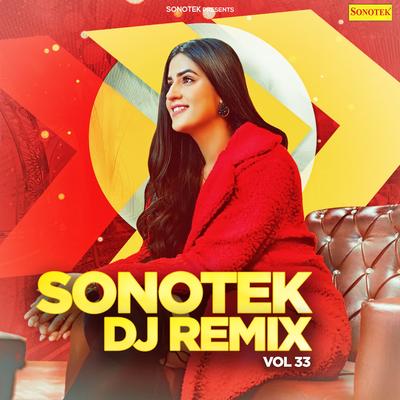 Sonotek DJ Remix Vol 33's cover