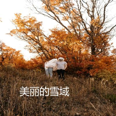 美丽的你's cover