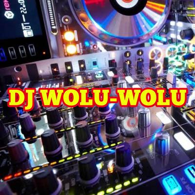 DJ WOLU-WOLU's cover