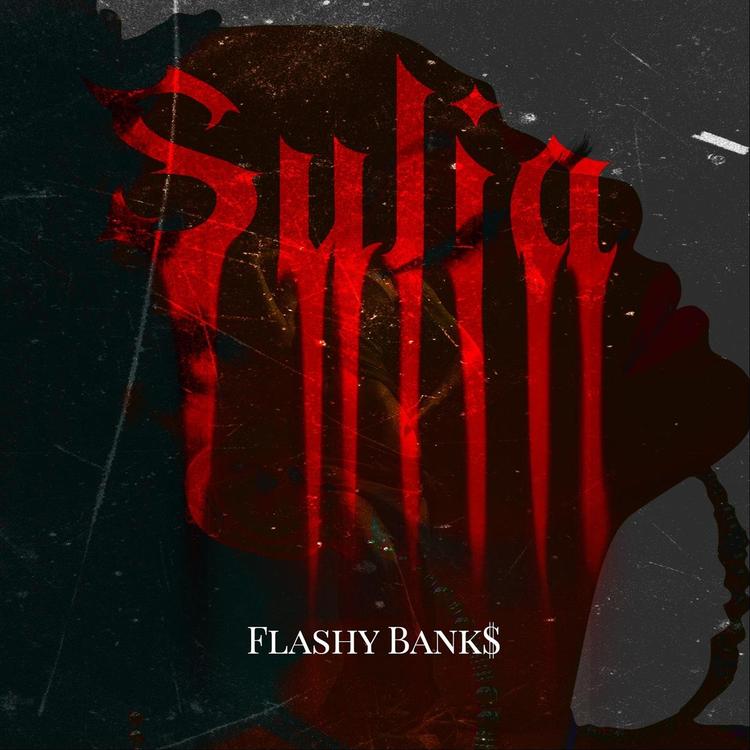 Flashy Bank$'s avatar image