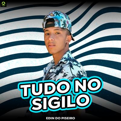 Tudo no Sigilo By Edin Do Piseiro, Alysson CDs Oficial's cover