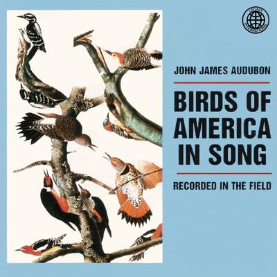 Familiar Birds Of The Roadside Pt. 2's cover