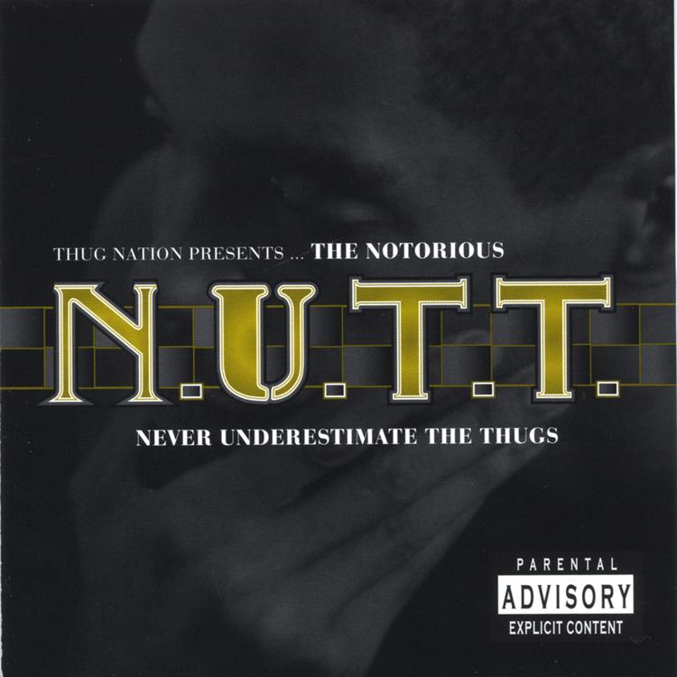 the notorious n.u.t.t's avatar image