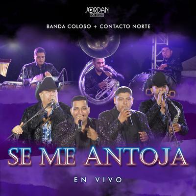 Se Me Antoja (En Vivo)'s cover