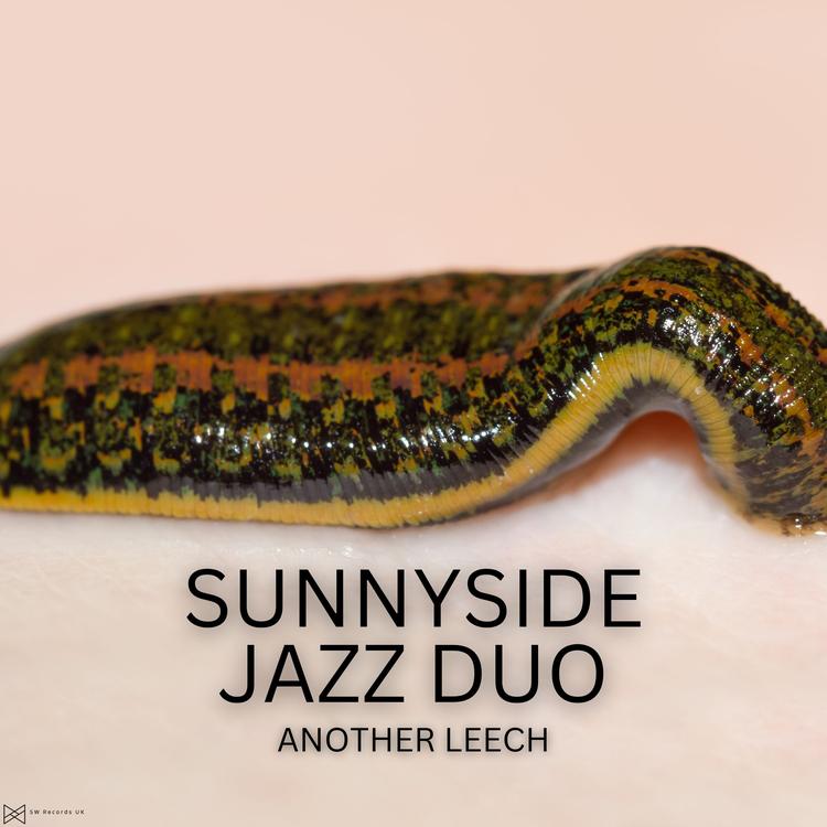 Sunnyside Jazz Duo's avatar image