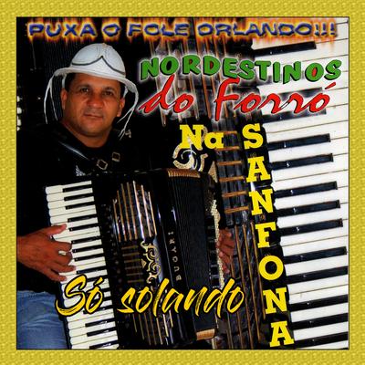 Forró Solado 3 - NORDESTINOS DO FORRÓ By Nordestinos do Forró's cover