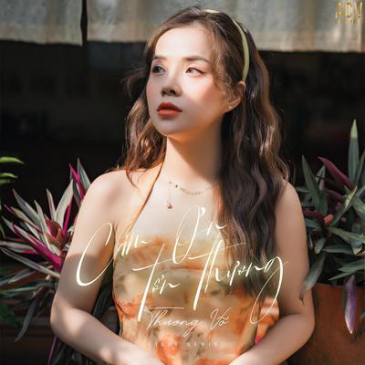 Cảm Ơn Tổn Thương (Ciray Remix) By Thương Võ, ACV, Ciray's cover