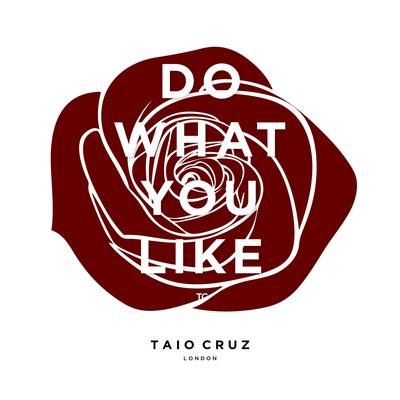 Do What You Like By Taio Cruz's cover