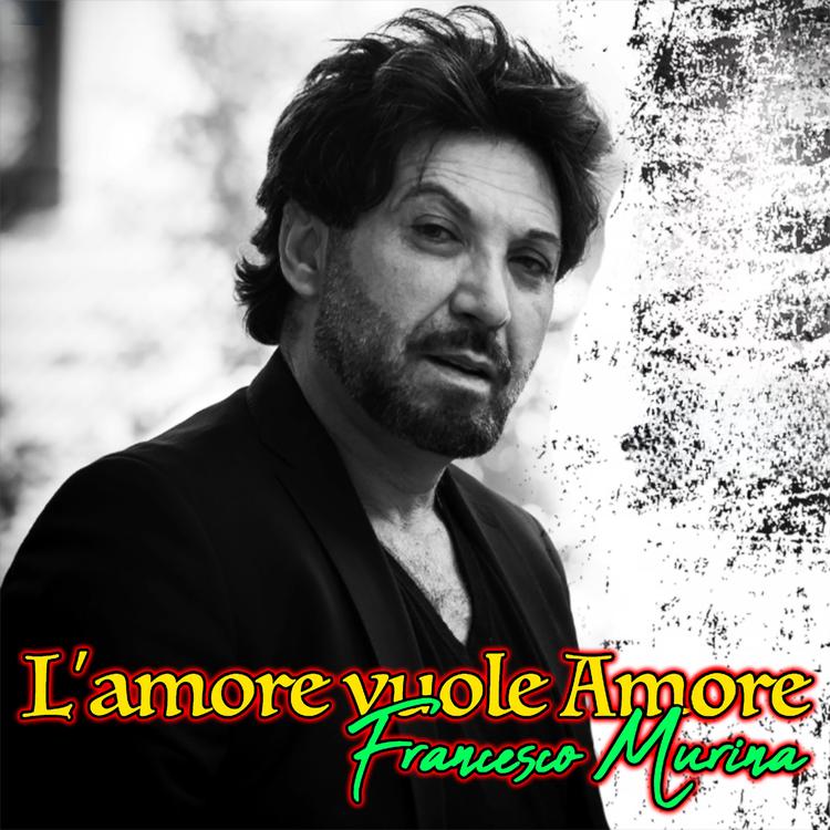 Francesco Murina's avatar image