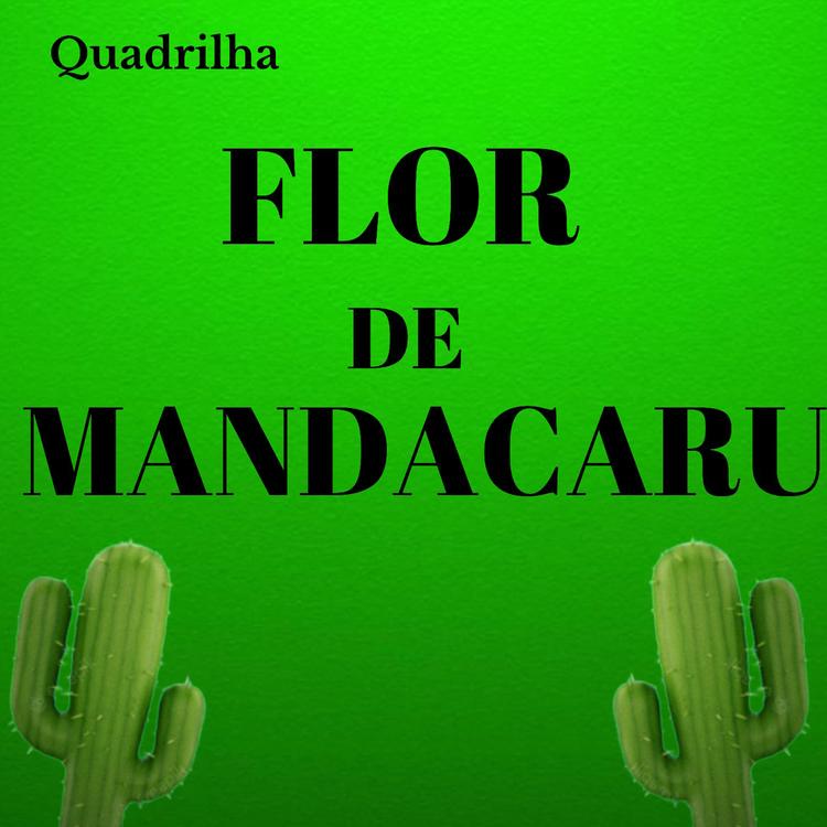 Quadrilha Flor de Mandacaru's avatar image