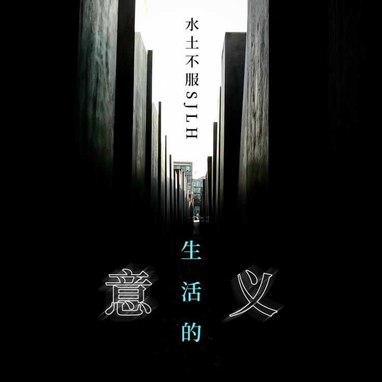 水土不服's avatar image