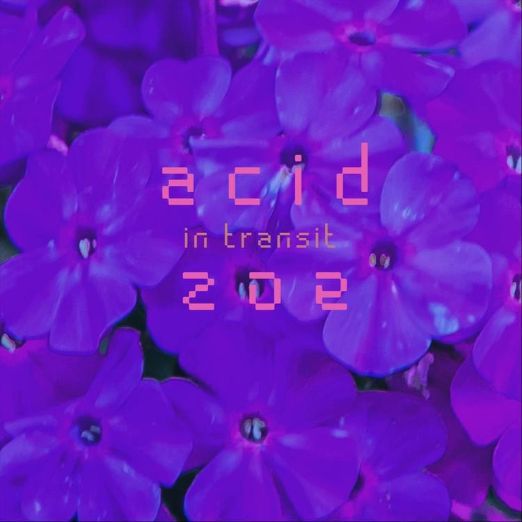 Acid Zoe's avatar image