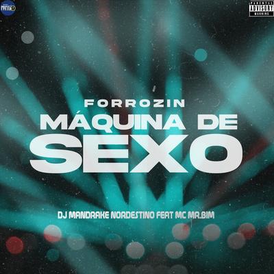 Forrozin Máquina de Sexo (feat. Mc Mr. Bim) (feat. Mc Mr. Bim) By Dj Mandrake Nordestino, Mc Mr. Bim's cover