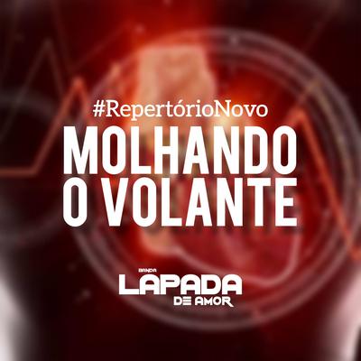 Molhando o Volante By Banda Lapada De Amor's cover