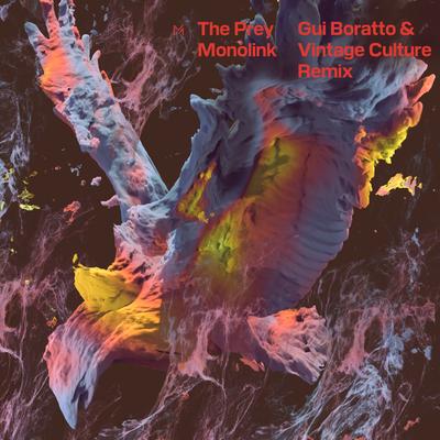 The Prey (Gui Boratto & Vintage Culture Remix) By Gui Boratto, Monolink, Vintage Culture's cover