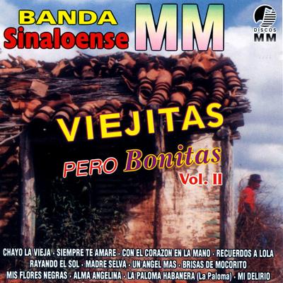 Viejitas Pero Bonitas, Vol. 2's cover