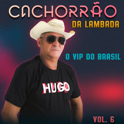 O VIP Do Brasil, Vol. 6's cover