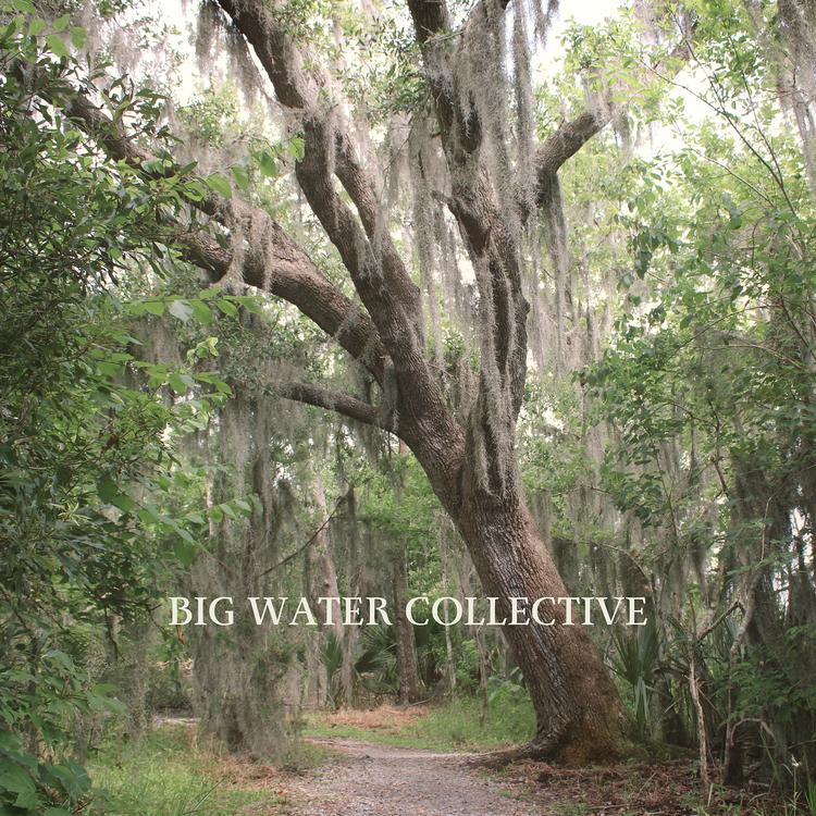 Big Water Collective's avatar image