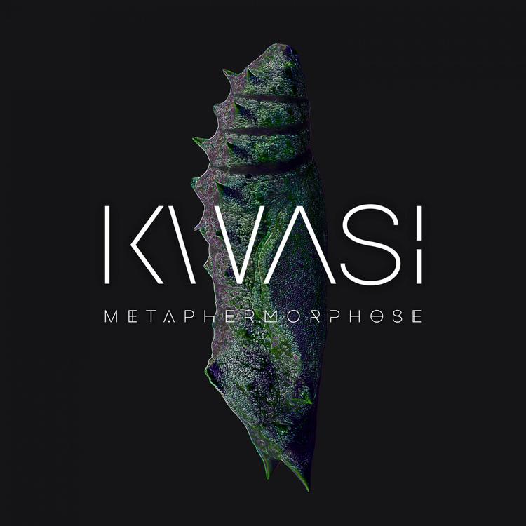 Kwasi's avatar image