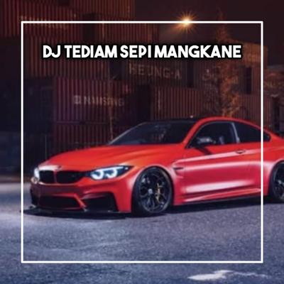 DJ Terdiam Sepi Mangkane - Andaikan Waktu Bisa Ku Putar Kembali's cover