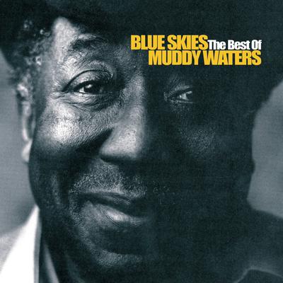 Blue Skies - The Best Of Muddy Waters's cover